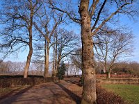 NL, Drenthe, De Wolden, Steenbergen 8, Saxifraga-Hans Dekker