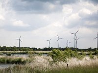 Bargerveen + windpark