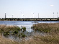 Bargerveen  Bog pool with wind farm in background, Bargerveen, Emmen, Drenthe, Netherlands : Bargerveen nature reserve, Bourtanger Moor-Bargerveen International Nature Park, color colour, Dutch Holland Netherlands, Europe European, horizontal, lake, marsh wetland, nature natural, nature reserve, nobody no people, rural landscape, water