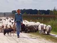 NL, Drenthe, Emmen, Bargerveen 35, Saxifraga-Hans Dekker