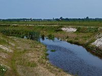 NL, Drenthe, Emmen, Runde 1, Saxifraga-Hans Dekker