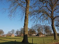 NL, Drenthe, Emmen, Weerdinge 1, Saxifraga-Hans Dekker