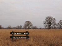 NL, Drenthe, Hoogeveen, Boereveense plassen 4, Saxifraga-Hans Dekker