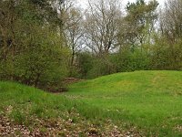 NL, Drenthe, Hoogeveen, Fluitenberg 1, Saxifraga-Hans Dekker