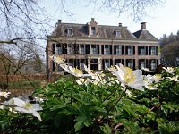 NL, Drenthe, Hoogeveen, Huize Echten 1, Saxifraga-Hans Dekker