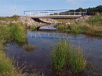 NL, Drenthe, Hoogeveen, Olde Kene 3, Saxifraga-Hans Dekker