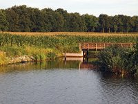 NL, Drenthe, Hoogeveen, Oude Diep 4, Saxifraga-Hans Dekker