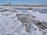 NL, Drenthe, Hoogeveen, Oude Diep 6, Saxifraga-Hans Dekker