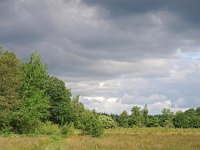 NL, Drenthe, Midden-Drenthe, Elperstroom 4, Saxifraga-Hans Dekker