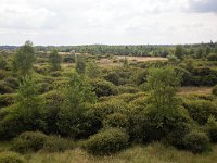 Area with spring of brook Amerdiep, shot from watchtower; Drenthe, Netherlands  Area with spring of brook Amerdiep, shot from watchtower; Drenthe, Netherlands : spring, well, brook, Amerdiep, Drenthe, Netherlands, Dutch, tree, trees, bush, bushes, heath, Midden-Drenthe, rural, landscape, rural landscape, rural area, rural scene, non-urban scene, nature, natural, no people, nobody, summer, summertime, green, sky, clouds, cloudy, nature reserve, outdoor, outdoors, outside