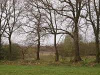 NL, Drenthe, Midden-Drenthe, Hooghalen 2, Saxifraga-Hans Dekker