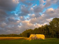 hay stack during sunset  hay stack during sunset with dramatic cloudy sky : Drenthe, Eemster, Geeuwenbrug, Leggeloo, blue, bomen, boom, cloud, clouds, color, country, creative nature, dawn, day, dusk, environment, field, foliage, grass, green, harmony, hay, head, holland, hooi, hooimijt, horizon, horizontal, land, landscape, landschap, lawn, leggelderveld, line, lush, meadow, midden drenthe, mow, nature, nederland, nobody, oogst, opslag, outdoors, plain, rick, row, rudmer zwerver, rural, scene, scenics, season, serene, simplicity, sky, stack, stro, summer, sun, sunlight, sunny, sunrise, sunset, tree, wolk, wolken, zonsondergang