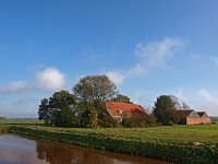 NL, Drenthe, Midden-Drenthe, Nieuw-Balinge 3, Saxifraga-Hans Dekker