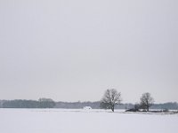 NL, Drenthe, Midden-Drenthe, Orvelte 73, Saxifraga-Hans Dekker