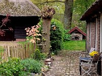 NL, Drenthe, Midden-Drenthe, Orvelte 78, Saxifraga-Hans Dekker