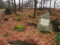 NL, Drenthe, Midden-Drenthe, Oud-Orvelte 3, Saxifraga-Hans Dekker