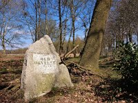 NL, Drenthe, Midden-Drenthe, Oud-Orvelte 4, Saxifraga-Hans Dekker