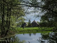 NL, Drenthe, Midden-Drenthe, Siberie 5, Saxifraga-Hans Dekker