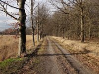 NL, Drenthe, Noordenveld, Boswachterij Norg 2, Saxifraga-Hans Dekker