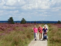 NL, Drenthe, Noordenveld, Fochteloerveen 12, Saxifraga-Hans Dekker