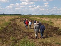 NL, Drenthe, Noordenveld, Fochteloerveen 9, Saxifraga-Hans Dekker