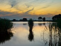 NL, Drenthe, Noordenveld, Leekstermeer 11, Saxifraga-Rudmer Zwerver : Netherlands, Noordenveld, atmosphere, biotoop, calm, creative nature, dageraad, dawn, dusk, geel, gras, grass, holland, kalm, lake, lakeside, landscape, landschap, leekstermeer, lucht, meer, natura 2000, natural, nature, natuur, natuurlijk, natuurlijke, nederland, omgeving, orange, oranje, peace, quiet, reed, reeds, reflect, reflecteren, reflectie, reflection, riet, rietkraag, rudmer zwerver, rust, schemering, sereen, serene, sfeer, silhouette, sky, spectaculaire, spectacular, stilte, summer, sun, sunbeam, sunlight, sunray, sunrise, sunset, sunshine, tranquil, twilight, vredig, water, yellow, zomer, zon, zonlicht, zonneschijn, zonnestraal, zonsondergang, zonsopgang