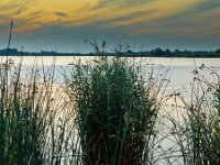 NL, Drenthe, Noordenveld, Leekstermeer 12, Saxifraga-Rudmer Zwerver : Netherlands, Noordenveld, atmosphere, biotoop, calm, creative nature, dageraad, dawn, dusk, geel, gras, grass, holland, kalm, lake, lakeside, landscape, landschap, leekstermeer, lucht, meer, natura 2000, natural, nature, natuur, natuurlijk, natuurlijke, nederland, omgeving, orange, oranje, peace, quiet, reed, reeds, reflect, reflecteren, reflectie, reflection, riet, rietkraag, rudmer zwerver, rust, schemering, sereen, serene, sfeer, silhouette, sky, spectaculaire, spectacular, stilte, summer, sun, sunbeam, sunlight, sunray, sunrise, sunset, sunshine, tranquil, twilight, vredig, water, yellow, zomer, zon, zonlicht, zonneschijn, zonnestraal, zonsondergang, zonsopgang