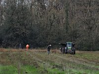 NL, Drenthe, Noordenveld, Lieverder Noordbos 5, Saxifraga-Hans Dekker