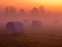 Hay bales  Hay bales during orange sunset : Netherlands, Noordenveld, atmosphere, autumn, baal, bale, boom, creative nature, dageraad, dawn, dusk, dutch, field, geel, gras, grass, green, groen, groningen, harvest, hay, hay bale, hemel, herfst, holland, hoogtezon, hooi, hooibaal, hooirol, landscape, leek, leekstermeer, licht, light, matsloot, mist, natura 2000, natural, nature, natuur, natuurlijke, nederland, nederlands, oogsten, orange, oranje, pink, red, rol, rood, roze, rudmer zwerver, sandebuur, schemering, sfeer, sky, straw, stro, strobaal, strorol, summer, sun, sunbeam, sunlight, sunray, sunrise, sunset, sunshine, tree, veld, yellow, zomer, zon, zonlicht, zonneschijn, zonnestraal, zonsondergang, zonsopgang