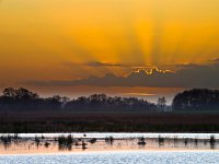 natural swamp reserve  Sun is setting over a natural swamp reserve : Netherlands, Noordenveld, achtergrond, afternoon, atmosphere, background, calm, calmness, color, colorful, creative nature, dageraad, dawn, dramatic, dramatisch, dusk, dutch, ecologische hoofdstructuur, ehs, energetic, energiek, environment, freshwater, gras, grass, groningen, holland, kalm, kalmte, kleur, kleurrijke, lake, landelijk, landscape, landschap, leekstermeer, lente, licht, light, lucht, marsh, marshland, matsloot, meer, milieu, moeras, moerassig, namiddag, natura 2000, natural, nature, nature development, natuur, natuur ontwikkeling, natuurbouw, natuurlijk, nederland, nederlands, niemand, nobody, onlanden, orange, oranje, peace, peaceful, plant, quiet, reed, reflect, reflecteren, reflectie, reflection, riet, rudmer zwerver, rural, rustig, rustige, sandebuur, schemering, sereen, serene, sereniteit, serenity, sfeer, sky, spectaculaire, spectacular, spring, summer, sun, sunbeam, sunlight, sunray, sunrise, sunset, sunshine, swamp, swampy, tranquil, twilight, vegetatie, vegetation, vrede, water, wetland, yellow, zoet water, zomer, zon, zonlicht, zonneschijn, zonnestraal, zonsondergang, zonsopgang