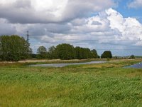 NL, Drenthe, Noordenveld, Peizermaden 4, Saxifraga-Hans Dekker