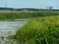 NL, Drenthe, Noordenveld, Polder Matsloot 3, Saxifraga-Hans Dekker