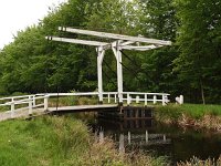 NL, Drenthe, Noordenveld, Veenhuizen 2, Saxifraga-Hans Dekker