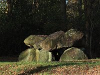 NL, Drenthe, Tynaarlo 1, Saxifraga-Hans Dekker