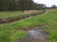 NL, Drenthe, Tynaarlo, De Heest 21, Saxifraga-Hans Boll