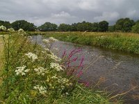 NL, Drenthe, Tynaarlo, Drentsche Aa 4, Foto Fitis-Sytske Dijksen