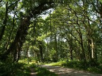 NL, Drenthe, Tynaarlo, Drentsche Aa 5, Foto Fitis-Sytske Dijksen