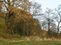 NL, Drenthe, Tynaarlo, Oudemolensche Diep 2, Saxifraga-Hans Boll