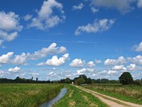 NL, Drenthe, Tynaarlo, Polder Lappenvoort 1, Saxifraga-Hans Dekker