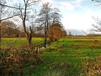 NL, Drenthe, Tynaarlo, Vries, Runsloot 1, Saxifraga-Hans Dekker