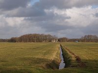 NL, Drenthe, Tynaarlo, Zeijen 3, Saxifraga-Hans Dekker