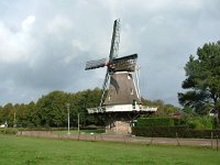 NL, Drenthe, Westerveld, Diever 3, Saxifraga-Hans Dekker