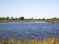 Mere on heath of Dwingelderveld National Park; Drenthe, Netherlands  Mere on heath of Dwingelderveld National Park; Drenthe, Netherlands : mere, lake, water, heath, np, national park, Dwingelderveld, Dwingeloo, Drenthe, Netherlands, Europe european, Dutch, nature, natural, rural landscape, rural, rural scene, non-unrban scene, tree, trees, heathland, summer, summertime, outside, outdoor, outdoors, no people, nobody