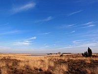 NL, Drenthe, Westerveld, Dwingelose Heide 2, Saxifraga-Hans Dekker