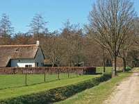 NL, Drenthe, Westerveld, Frederiksoord 2, Saxifraga-Hans Dekker