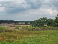 NL, Drenthe, Westerveld, Havelterberg 52, Saxifraga-Hans Dekker