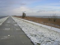 NL, Flevoland, Almere, Oostvaardersplassen 1, Saxifraga-Henk Sierdsema