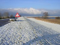 NL, Flevoland, Almere, Oostvaardersplassen 7, Saxifraga-Henk Sierdsema