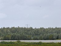 NL, Flevoland, Lelystad, Ketelmeer, Saxifraga-Tom Heijnen