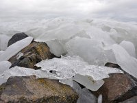 NL, Flevoland, Lelystad, Oostvaardersdijk (with ice) 1, Saxifraga-Tom Heijnen